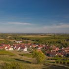 Frühherbst in der Pfalz