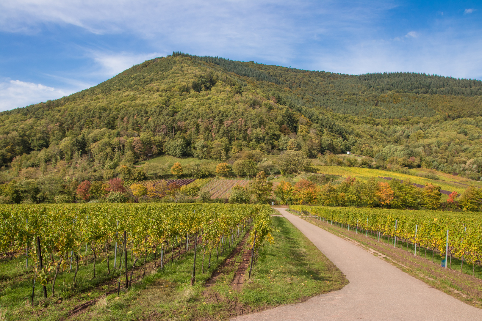 Frühherbst in der Pfalz bei Weyher