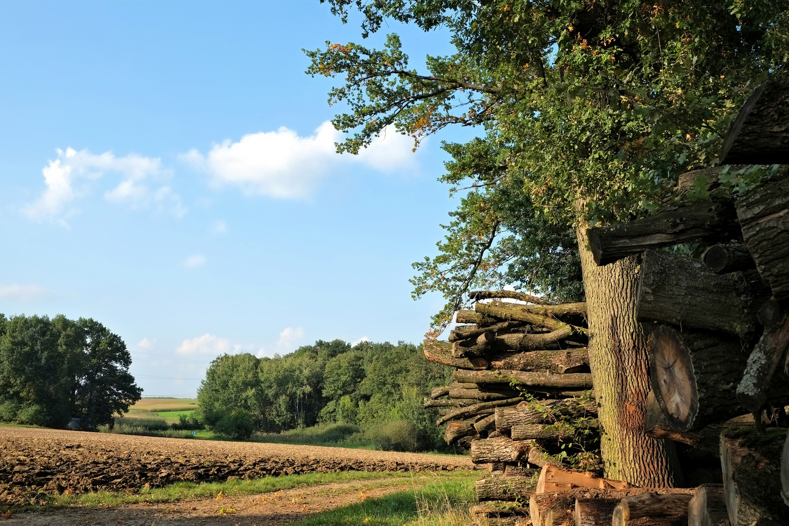 Frühherbst in Franken V