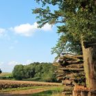 Frühherbst in Franken V