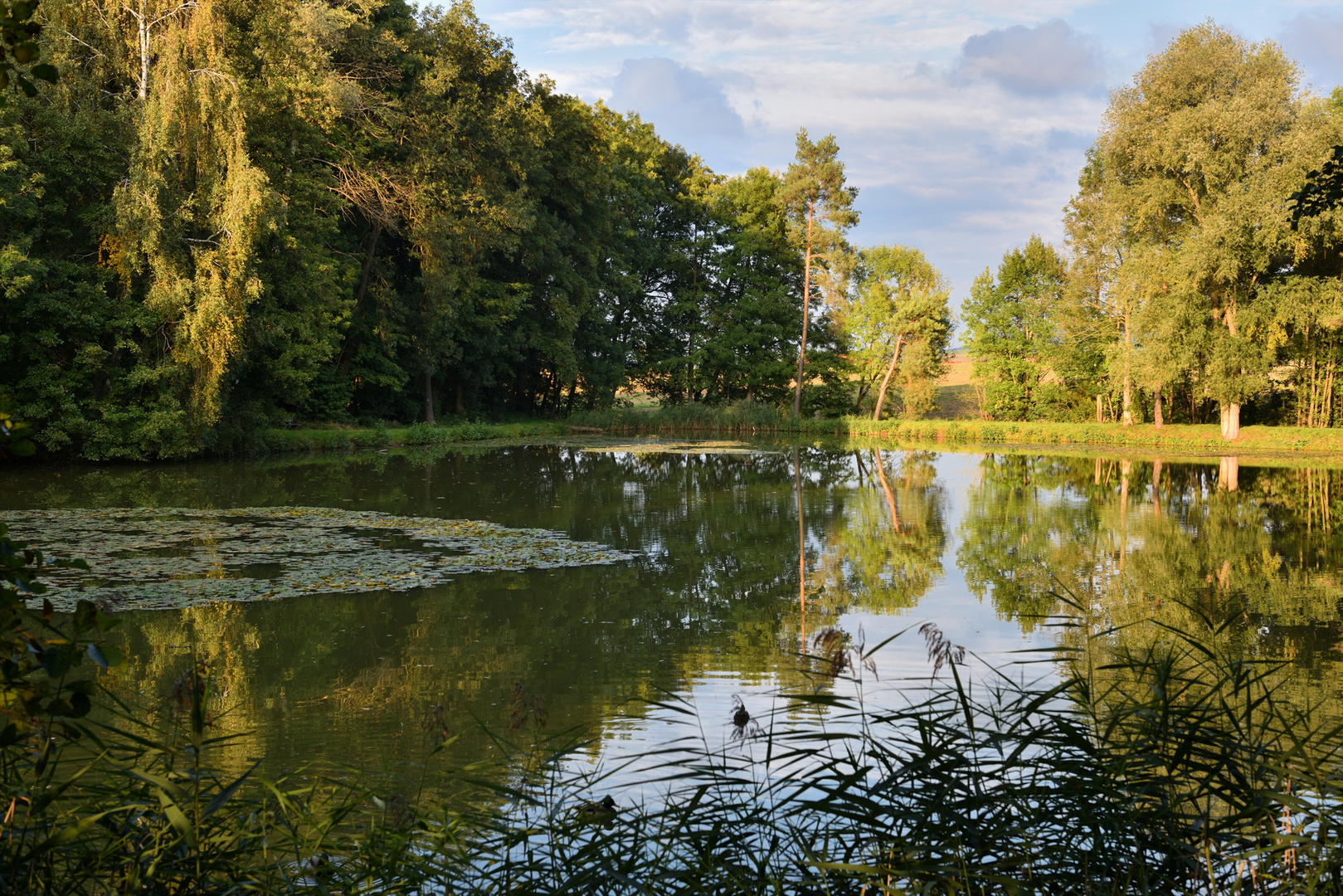 Frühherbst in Franken VI