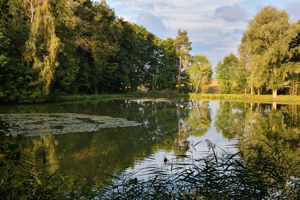 Frühherbst in Franken VI