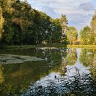 Frühherbst in Franken VI