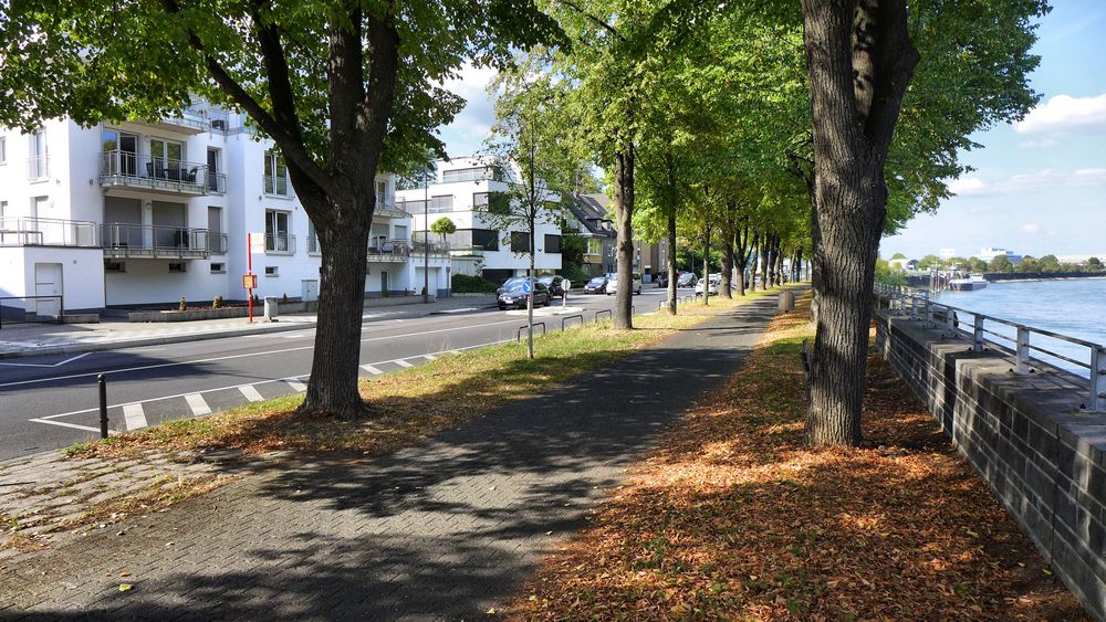 Frühherbst In Köln