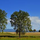 ~~~ Frühherbst in Südbaden ~~~