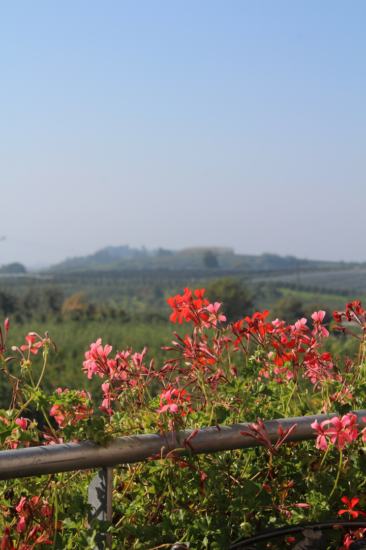 Frühherbst Sonne