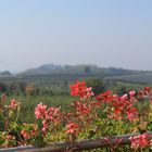 Frühherbst Sonne