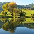 Frühherbstfarben am Rattenberger Teich