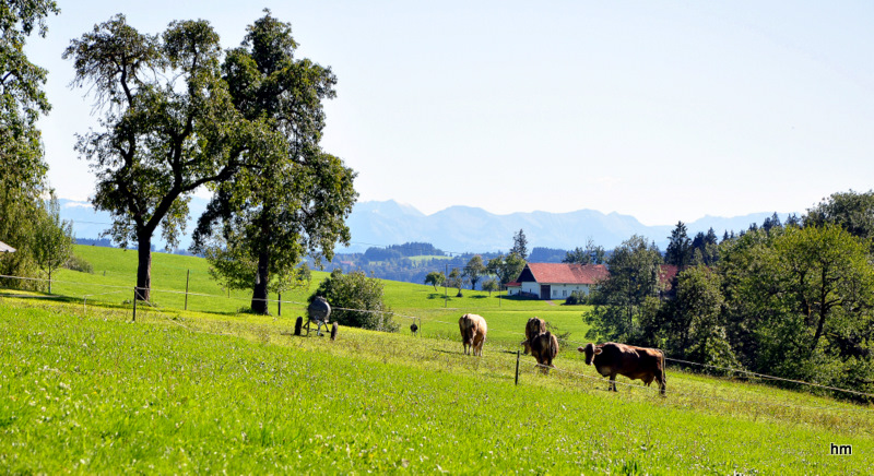 Frühherbstidylle