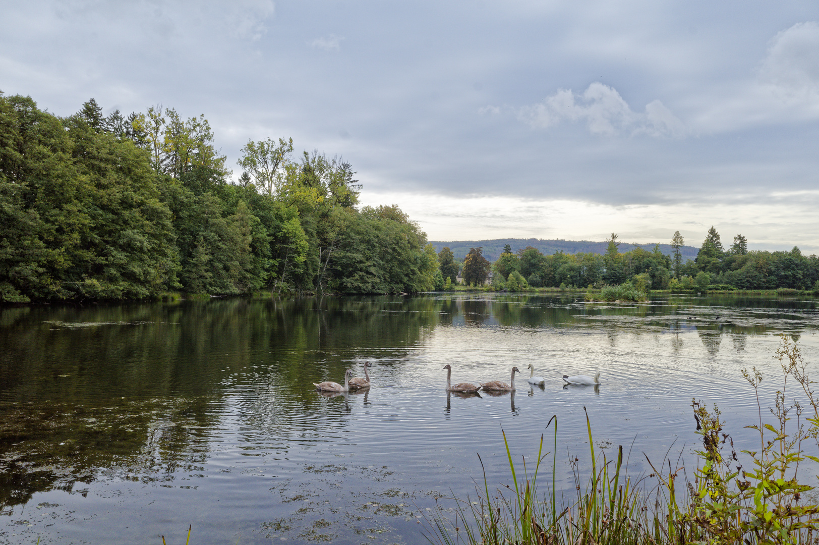 Frühherbstimpressionen am Eulensee (2)