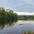 Frühherbstimpressionen am Eulensee (2)