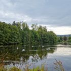 Frühherbstimpressionen am Eulensee (3)