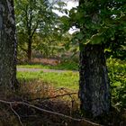 Frühherbstimpressionen an einem Feldweg