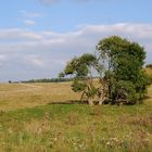 frühherbstliche Alblandschaft I...