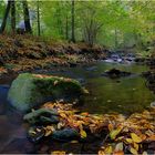 Frühherbstliche Bachruhe