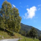 frühherbstliche Berglandschaft