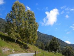 frühherbstliche Berglandschaft