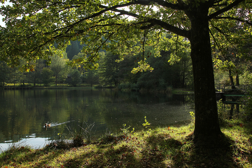 frühherbstliche Idylle 2