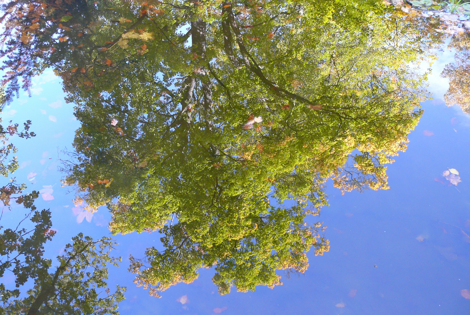 frühherbstliche Spiegelung