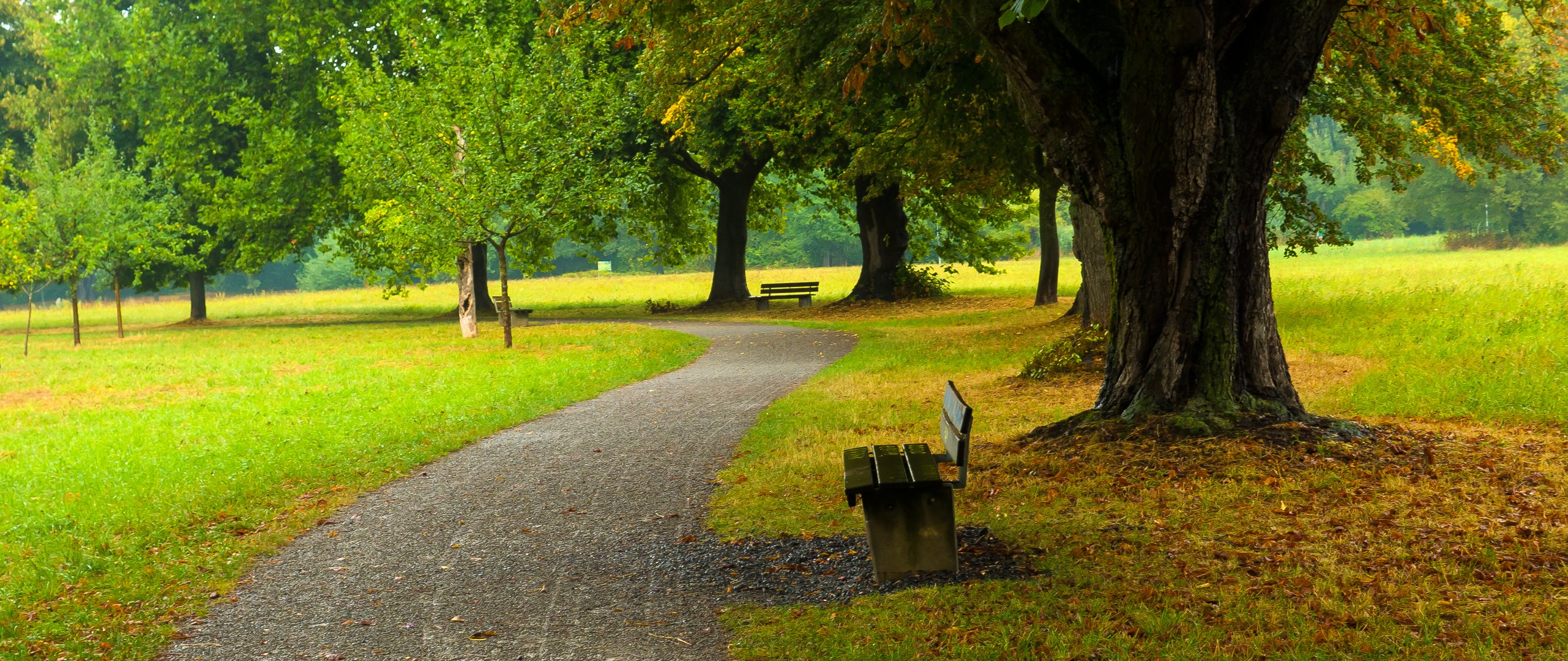 Frühherbstliche Stimmung schon