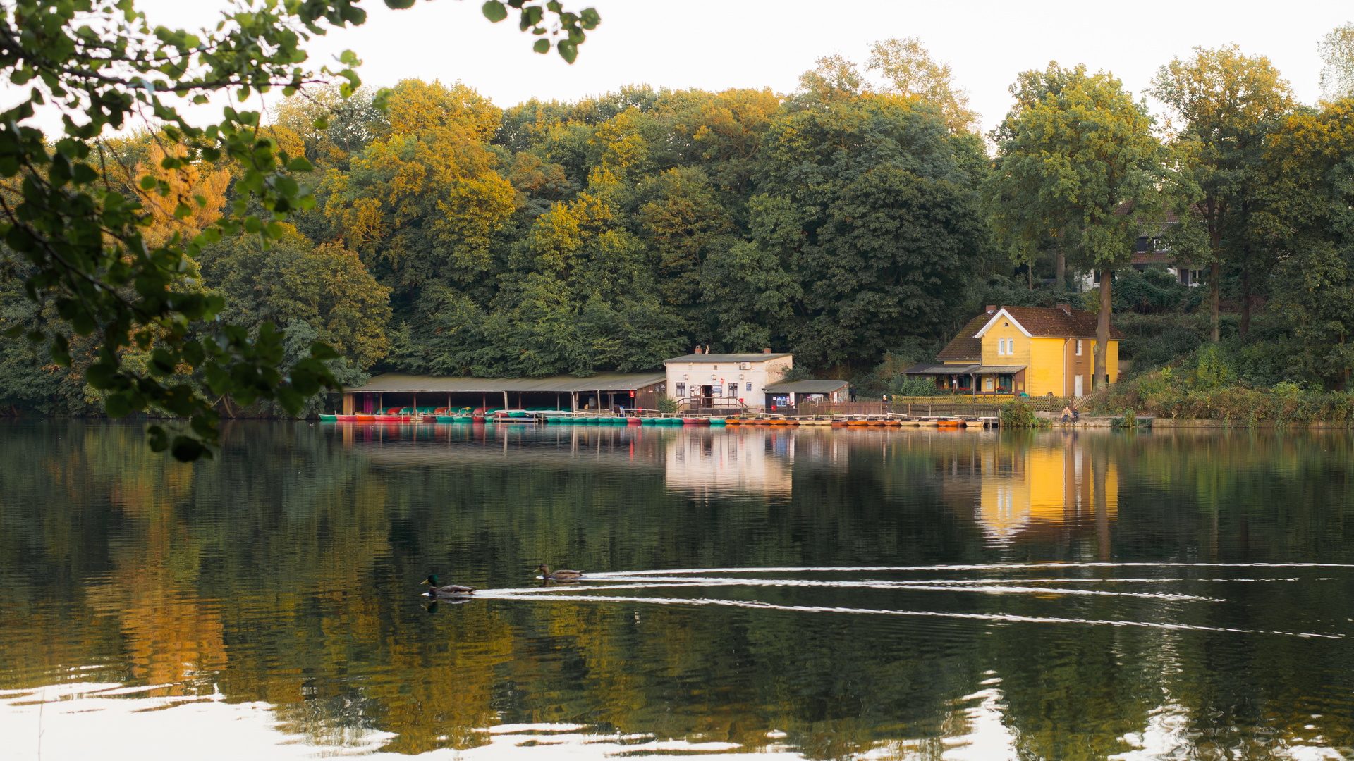 Frühherbstlicher Abend am Schlachtensee