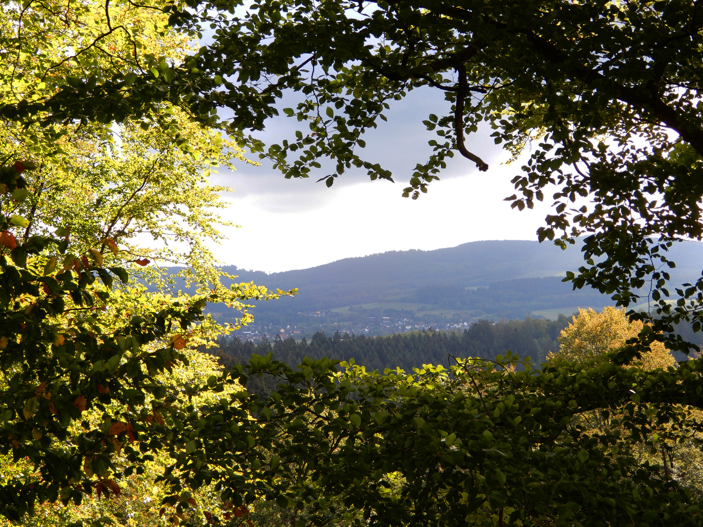 Frühherbstlicher Durchblick