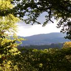 Frühherbstlicher Durchblick