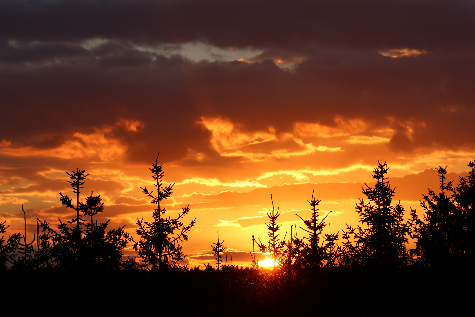 Frühherbstlicher Sonnenuntergang