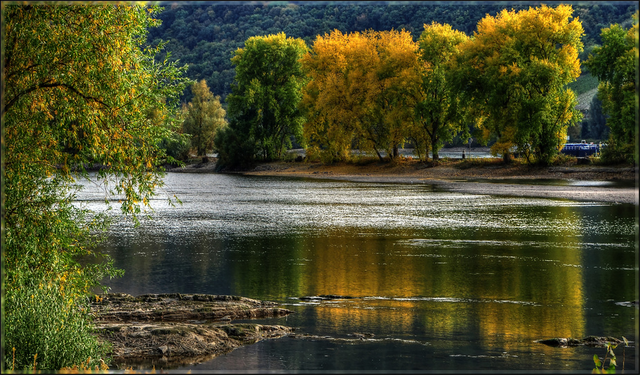 Frühherbstlicher Spätsommer am Rhein...