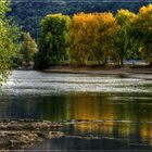 Frühherbstlicher Spätsommer am Rhein...