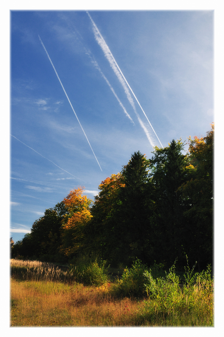 frühherbstliches Lichtspiel