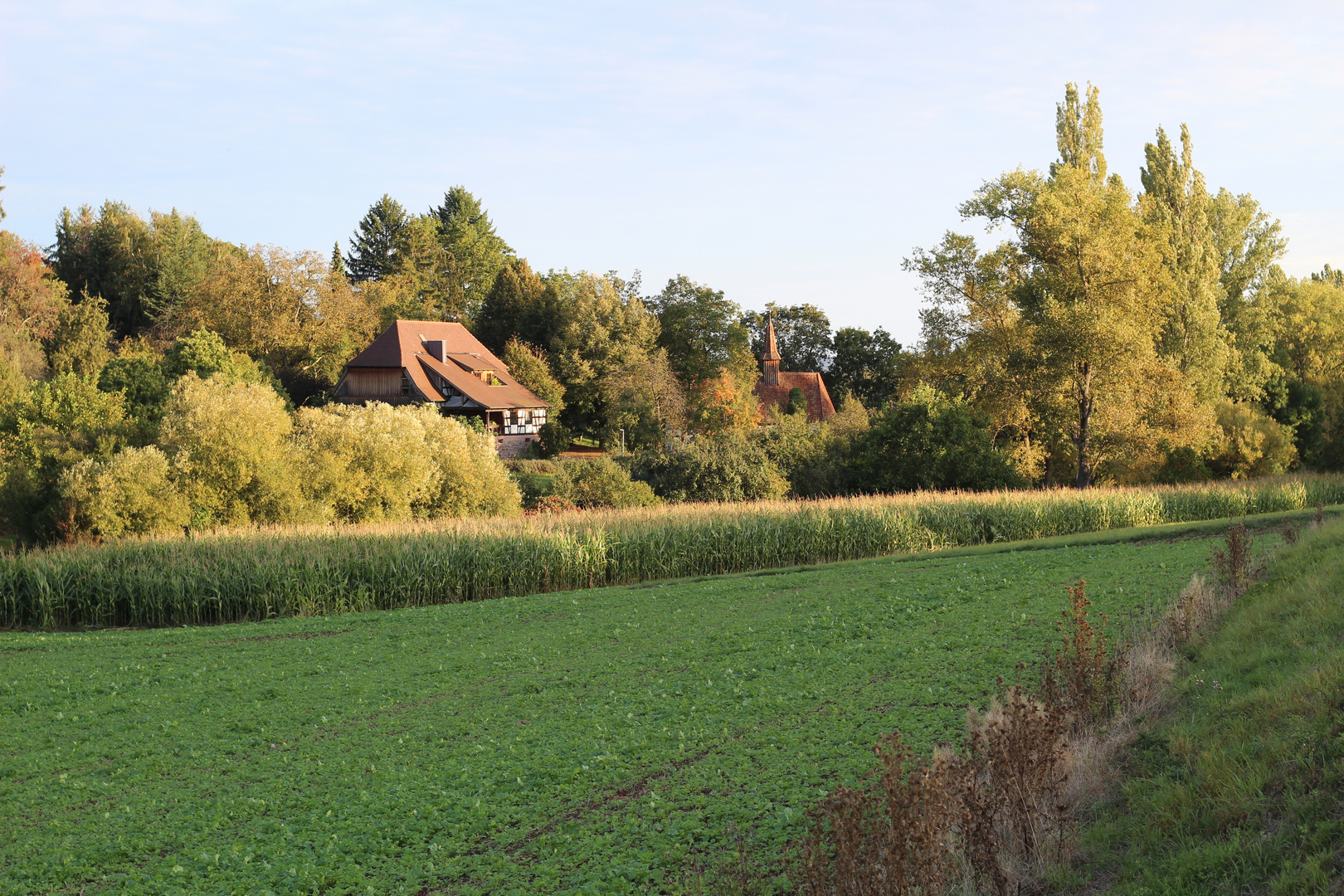 Frühherbstmorgen bei Niebelsbach