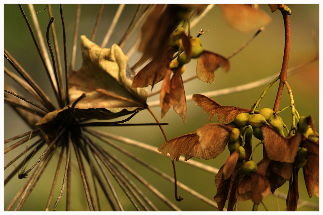 Frühherbstwind