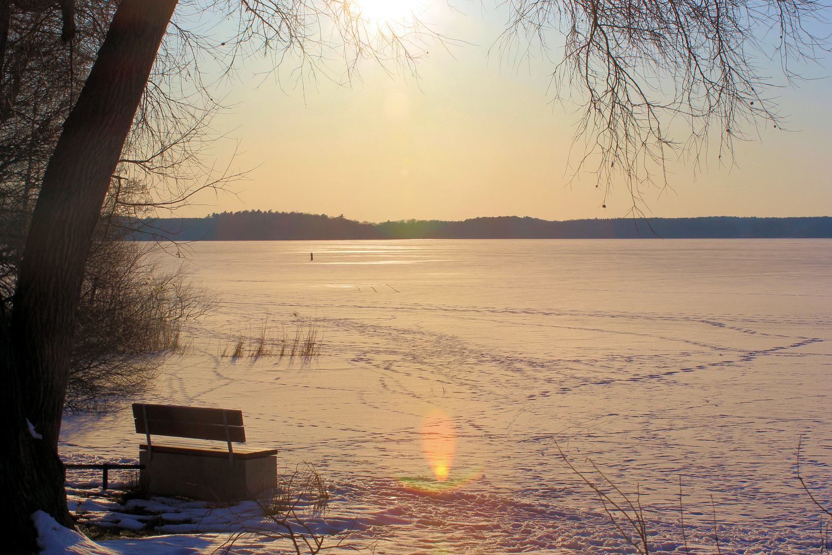 Frühing an der Binnenmüritz :-)