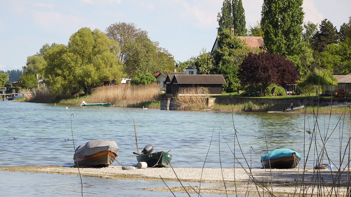 Frühjahr 2014 irgendwo am Bodensee