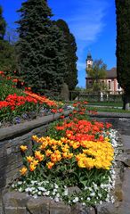 Frühjahr 2025 auf der Insel Mainau