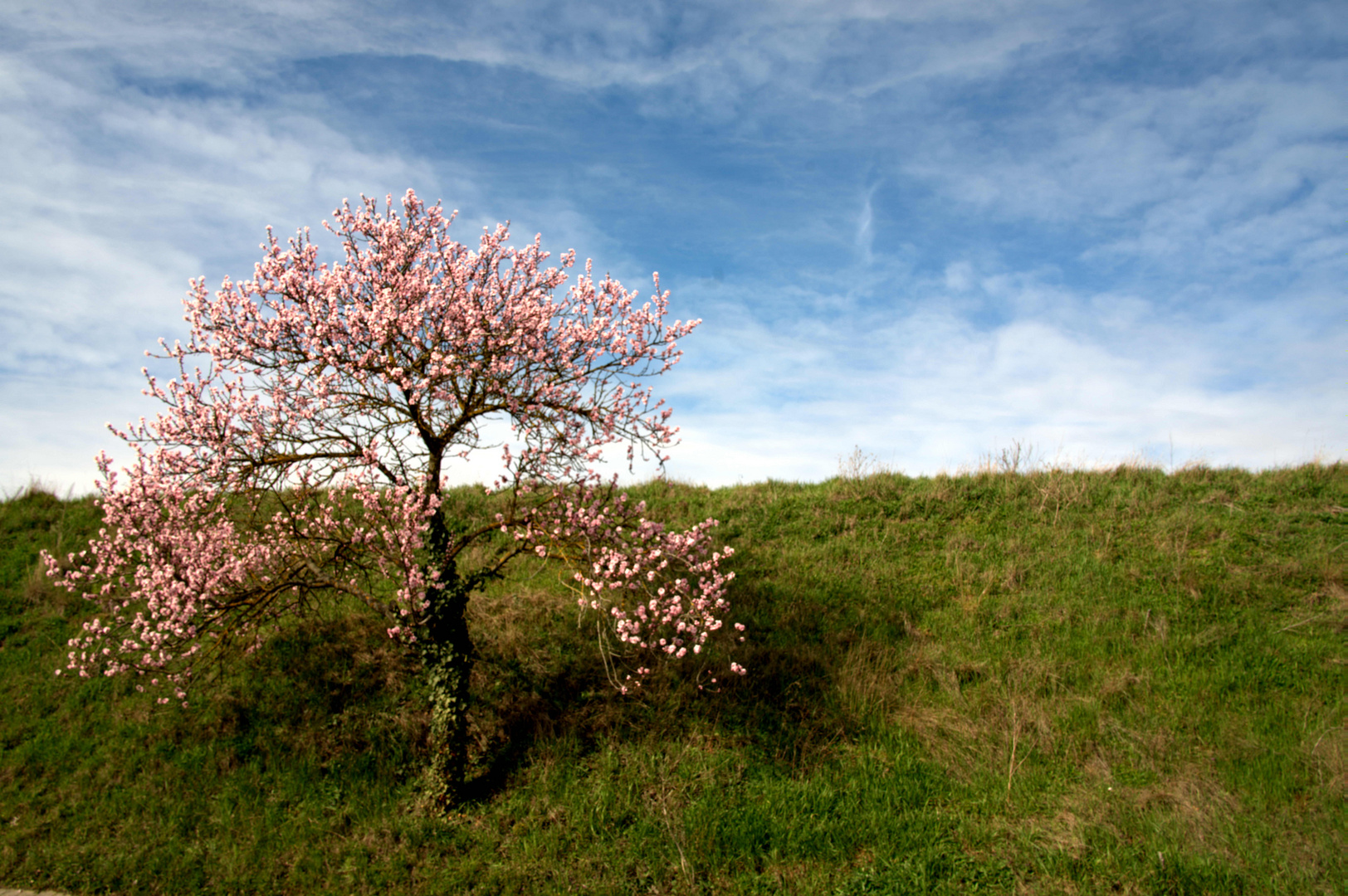 Frühjahr