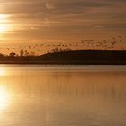 Frühjahr am Blankensee