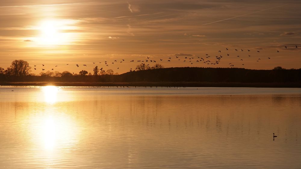 Frühjahr am Blankensee