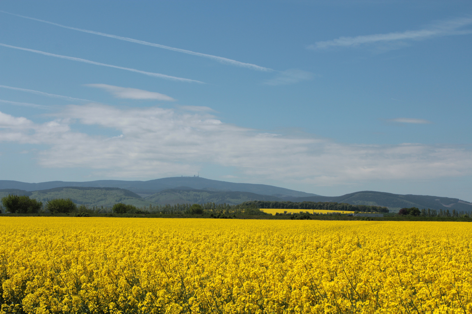 Frühjahr am Harz