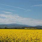 Frühjahr am Harz