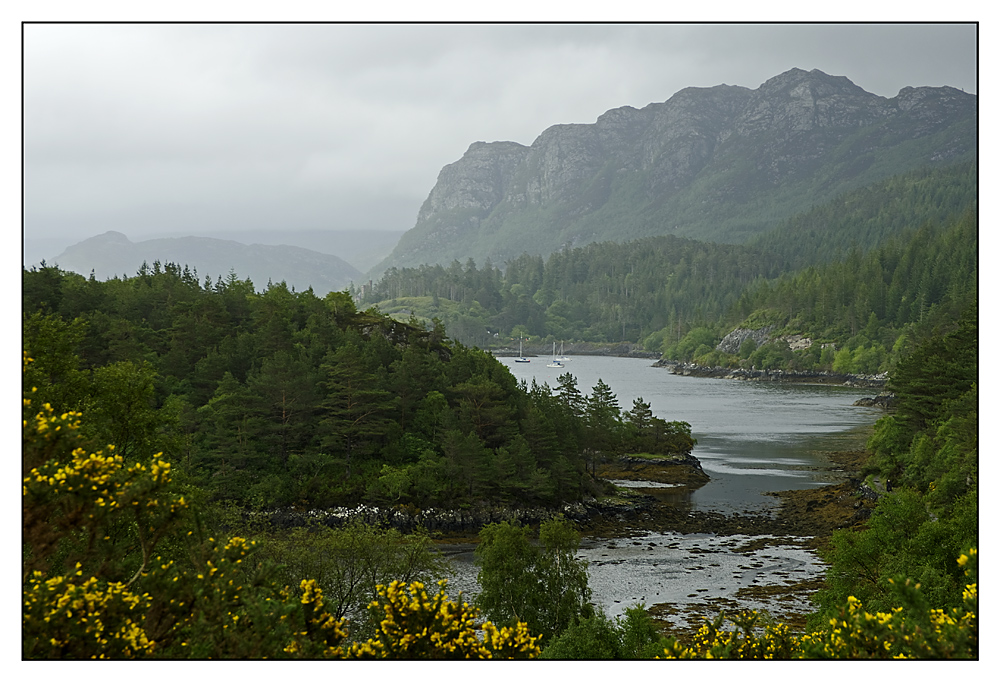 Frühjahr am Loch Carron