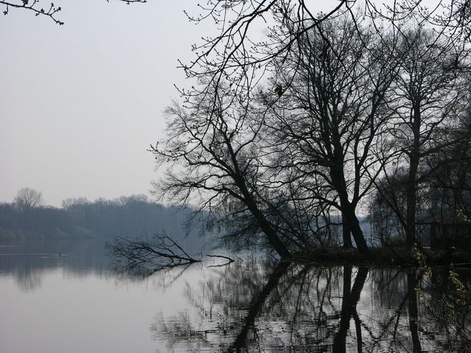 Frühjahr am Niederrhein