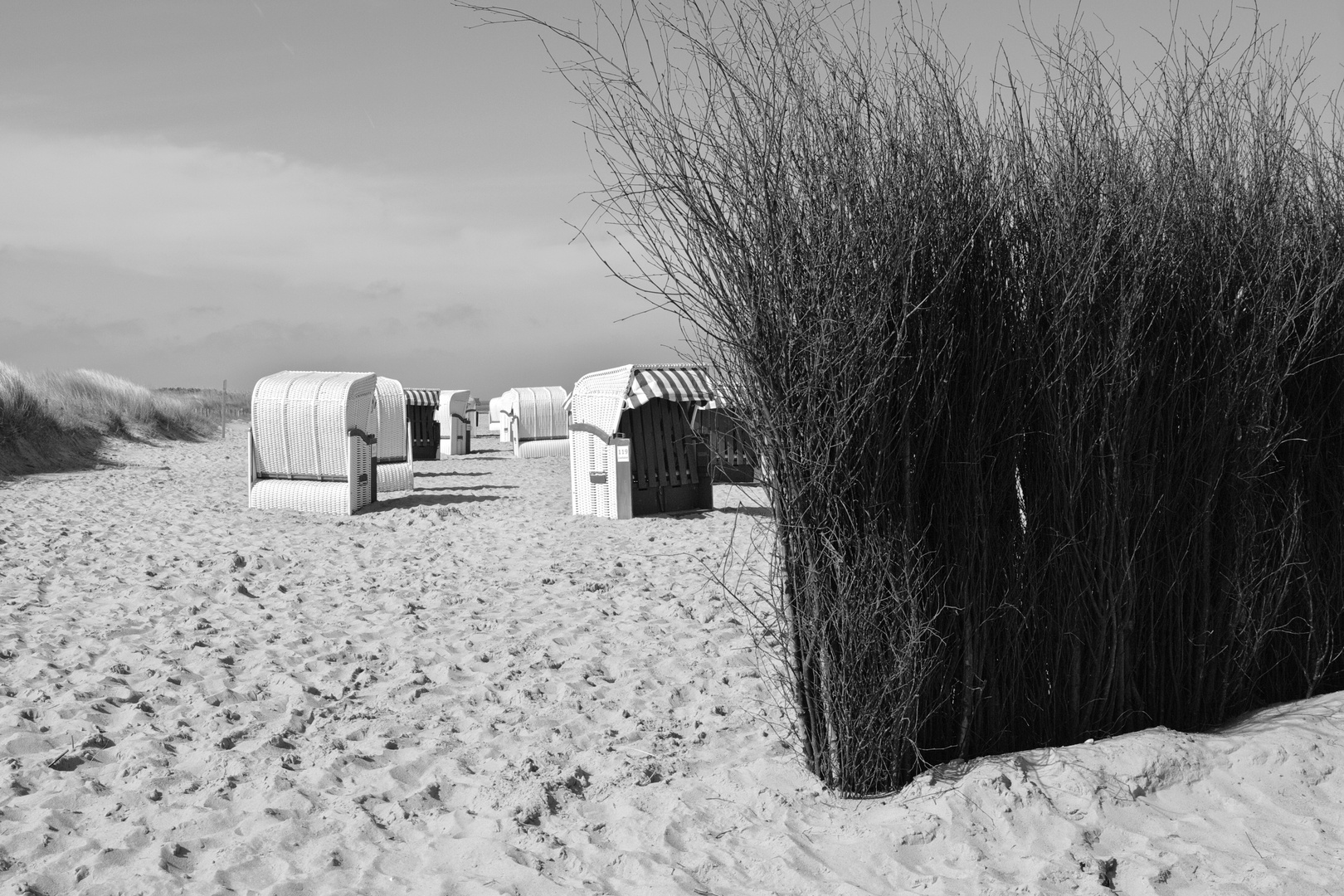 Frühjahr am Strand