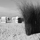 Frühjahr am Strand