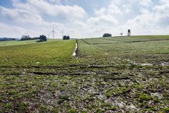 Frühjahr auf dem Stennweiler Flur