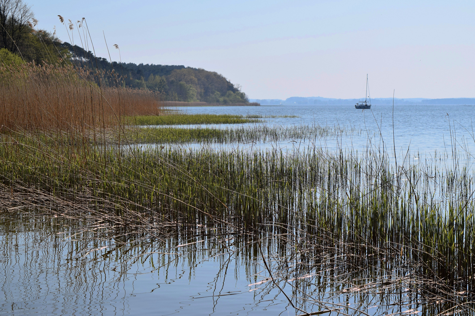 Frühjahr auf Usedom