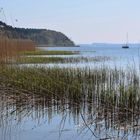 Frühjahr auf Usedom