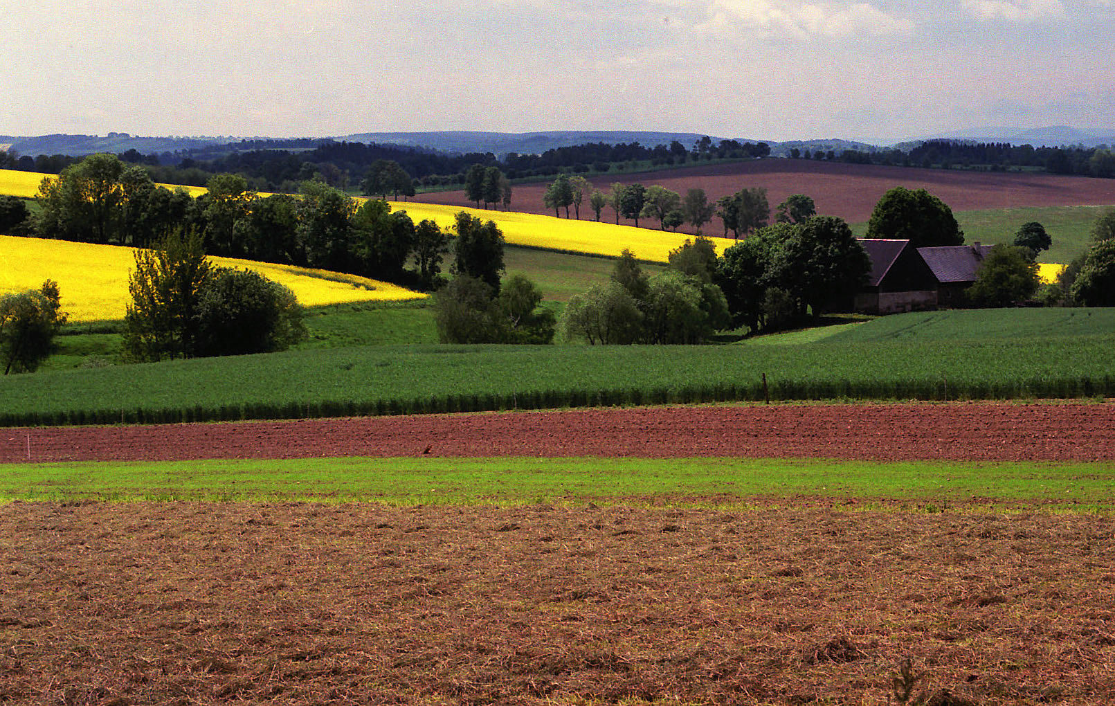 Frühjahr