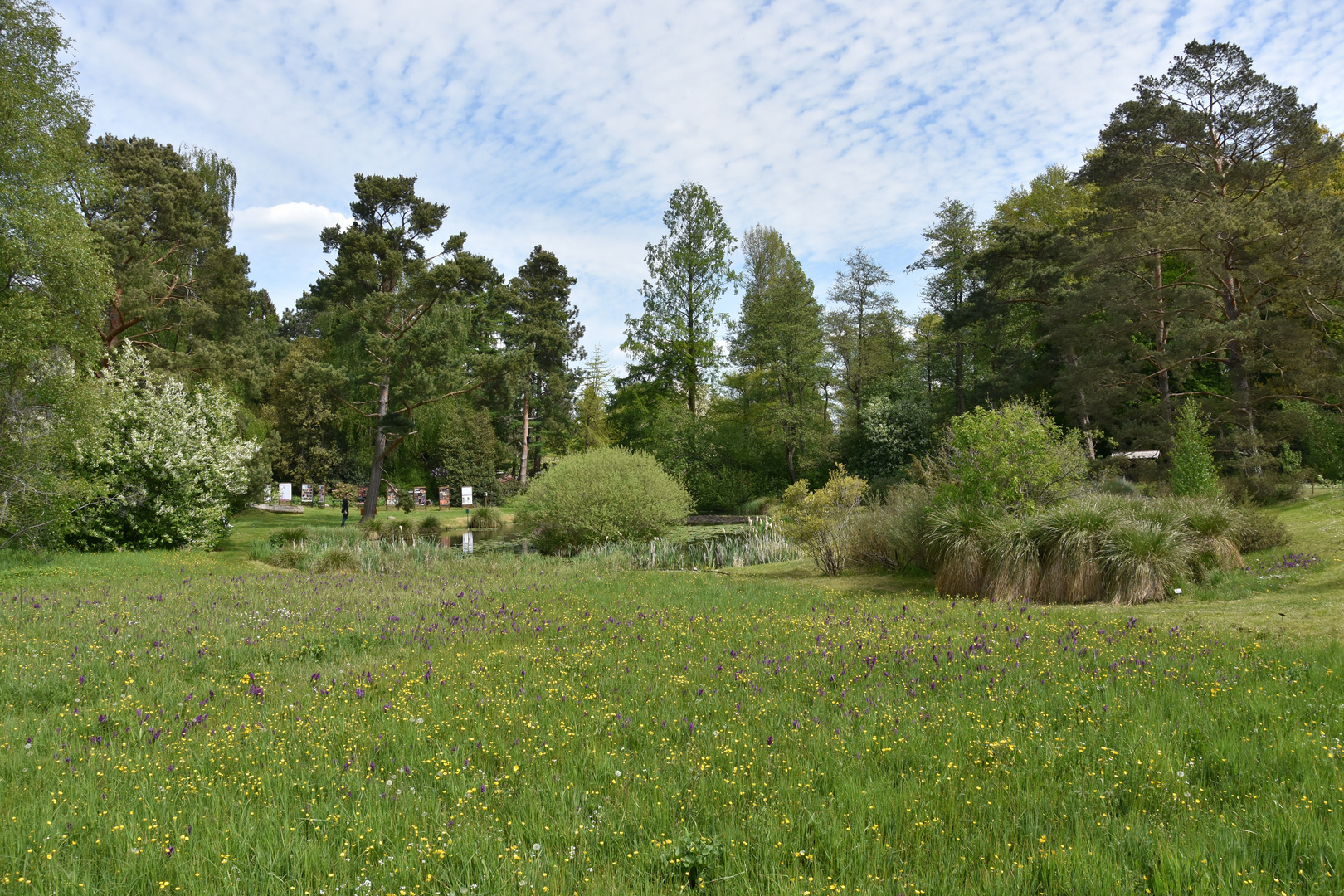 Frühjahr im Botanischen Garten von Rostock (1)